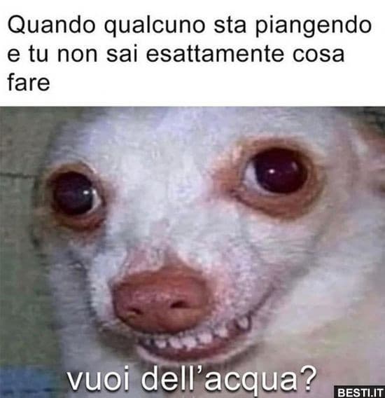 Mi sono svegliata alle 10