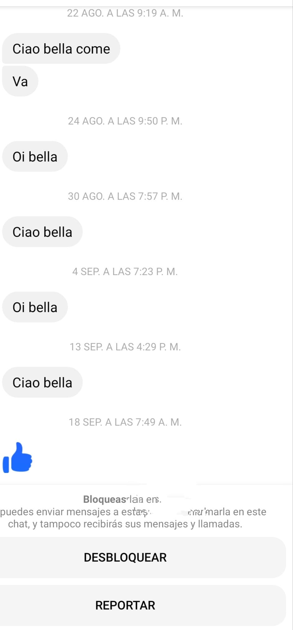 insistente il bro 