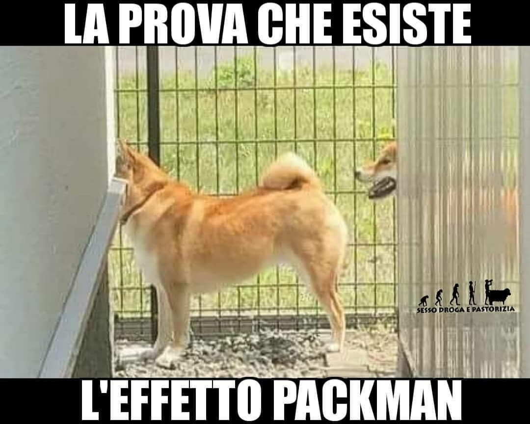 Con tanto di fantasmini