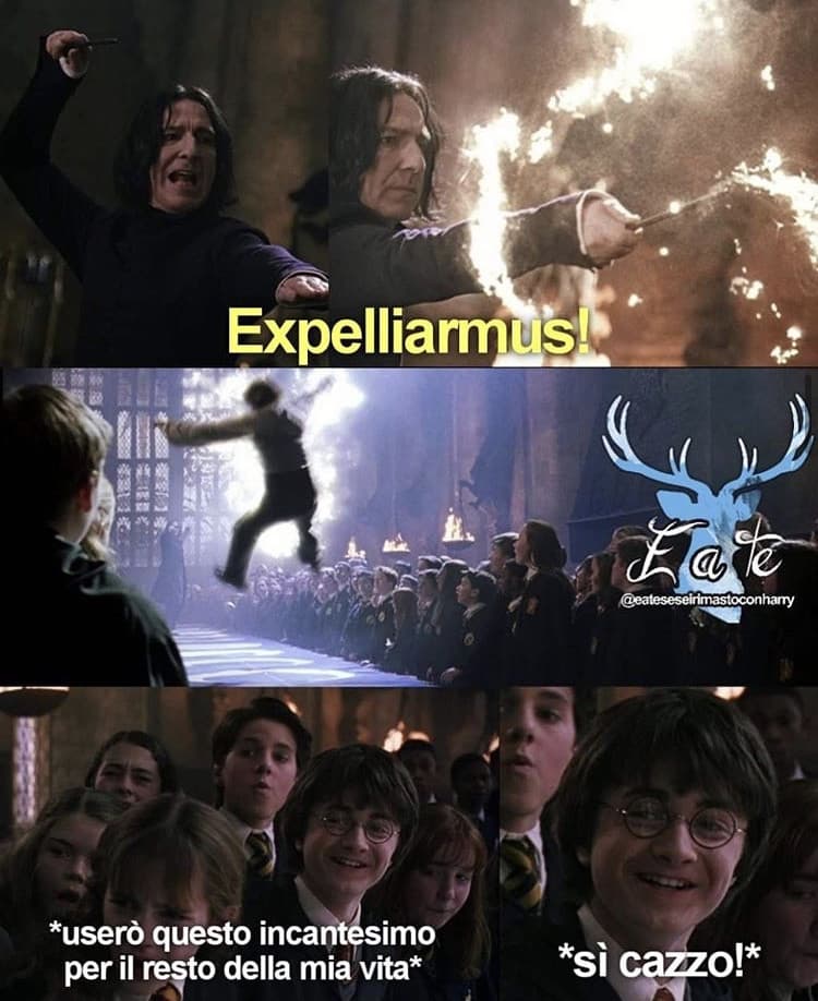 Harry Potter ?expelliarmus?