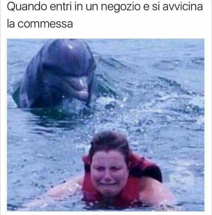 Verissimo?