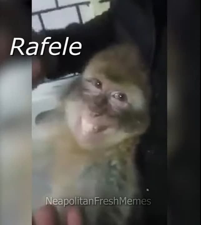 Ma Rafele è proprio matto da legare