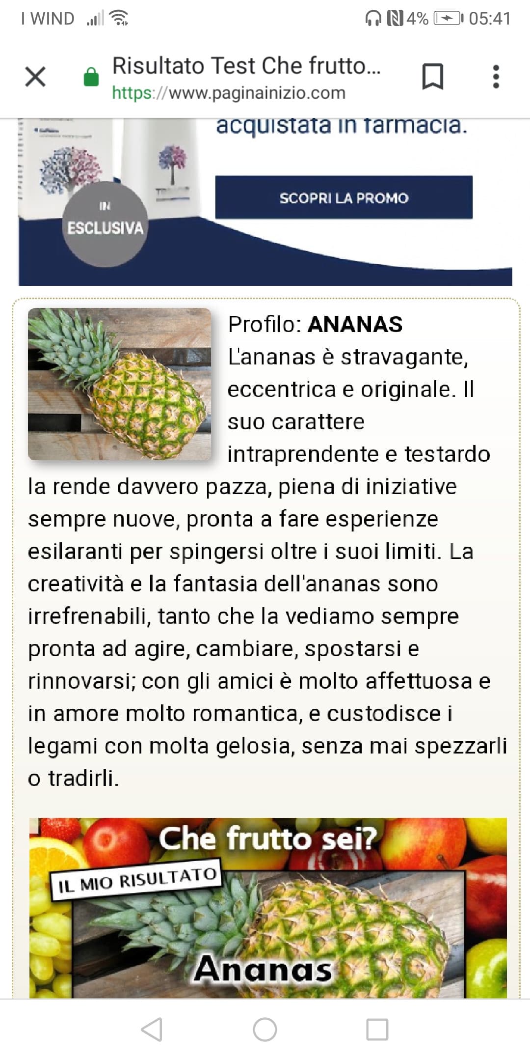 Io sono l'ananas 