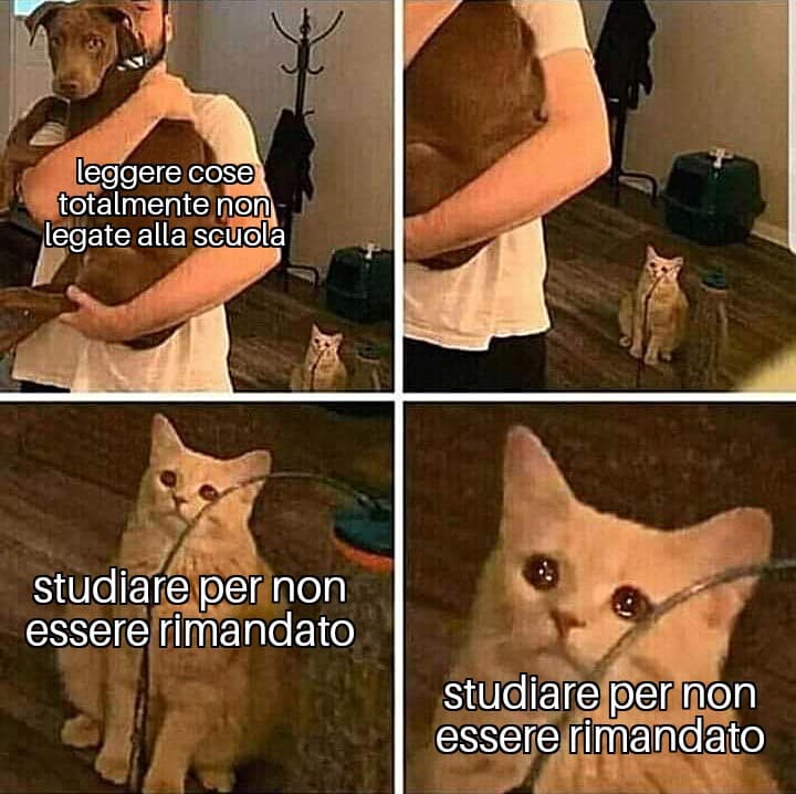 Meme tristi