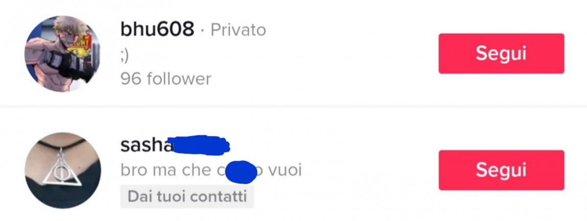 ci ho messo una vita, ma ho trovato i 2 profili tiktok di quello che mi piace 