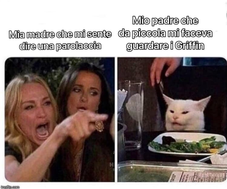 Mi piacciono i finocchi 