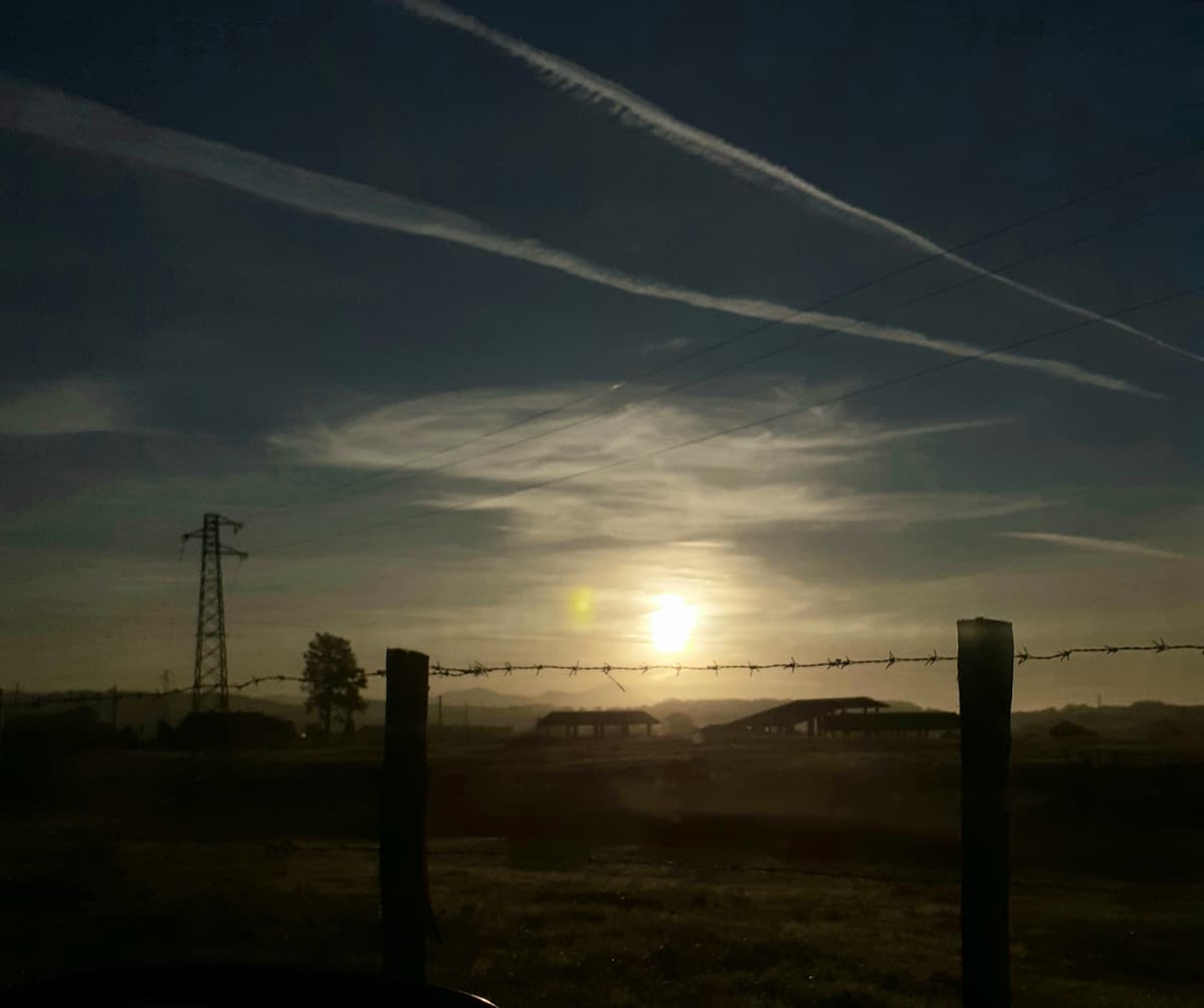 L'alba questa mattina mentre andavo a scuola?