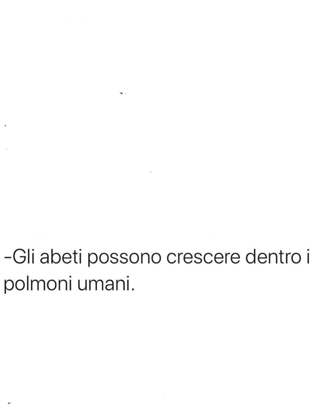 Bene qualcuno mi pianti un abete nei polmoni grazie