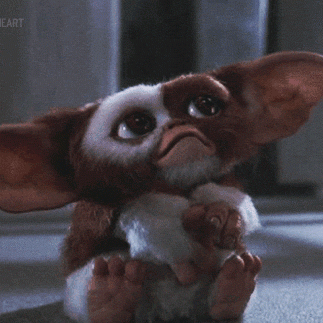 Voglio un mogwai