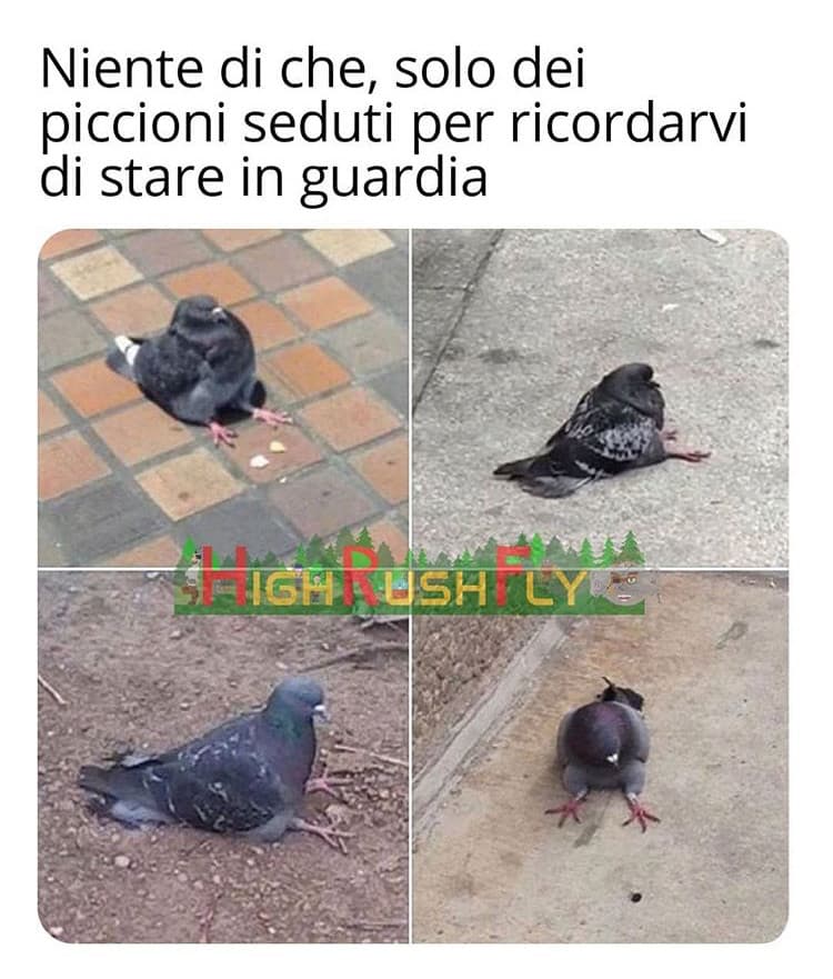 mh,ne voglio uno 