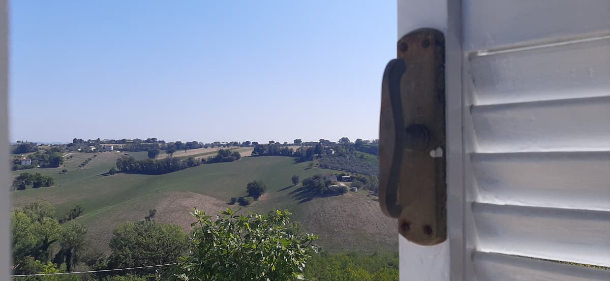 Pov: arrivano dei parenti per pranzo che non vedi dal 2018, che fingeranno di esser interessati alla tua vita. 