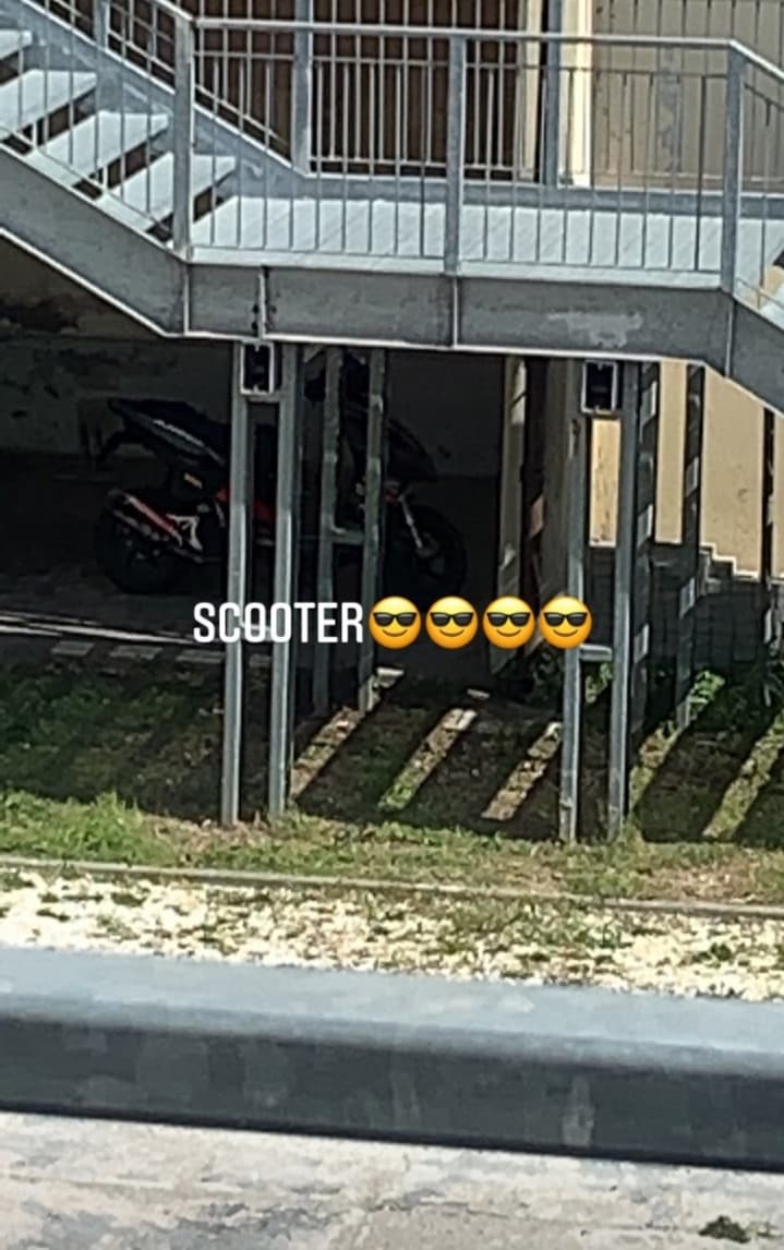 Scooter??? @autisticfish