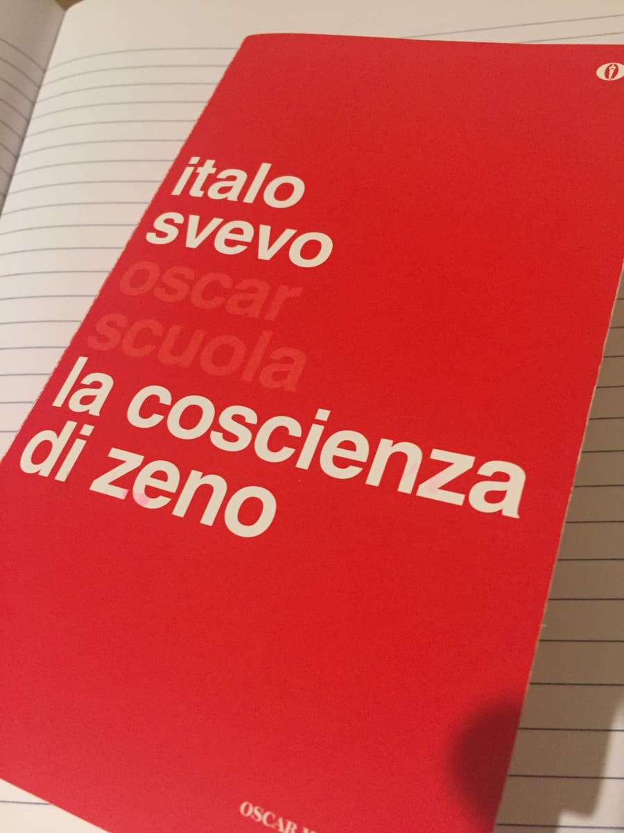 Ho intenzione di leggerlo, secondo voi mi voglio male? Una piccolissima parte del libro l’ho letta in 2/3 media e mi è sembrata interessante, poi mio fratello ha dovuto comprare il libro perché è stato costretto dagli insegnati e (in teoria) doveva leggerl