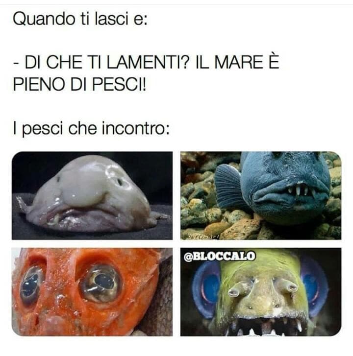 Io manco quelli incontro. 