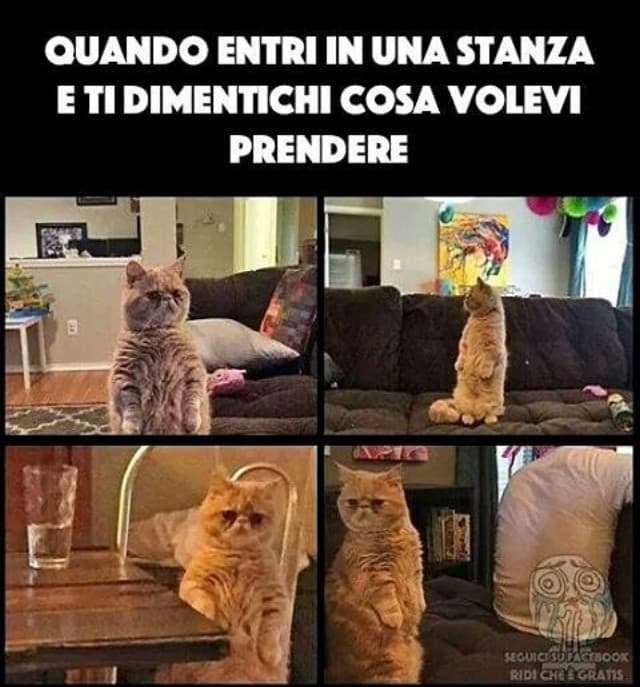 Realistiche rappresentazioni 