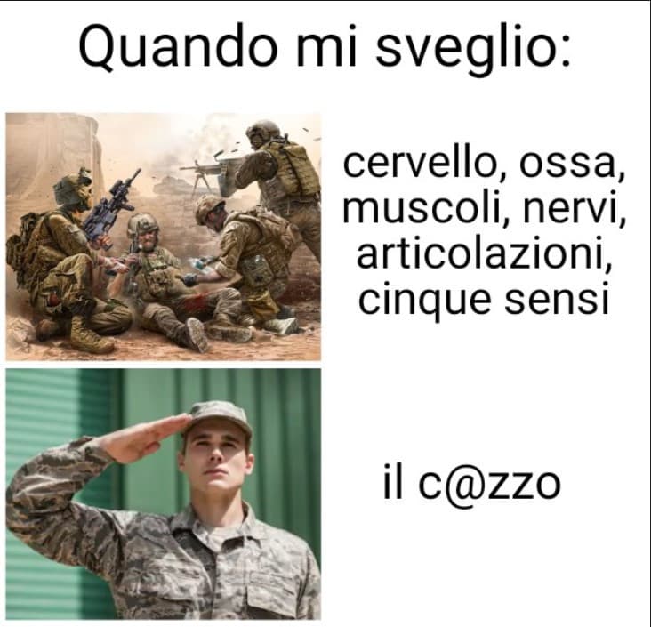 VERISSIMO