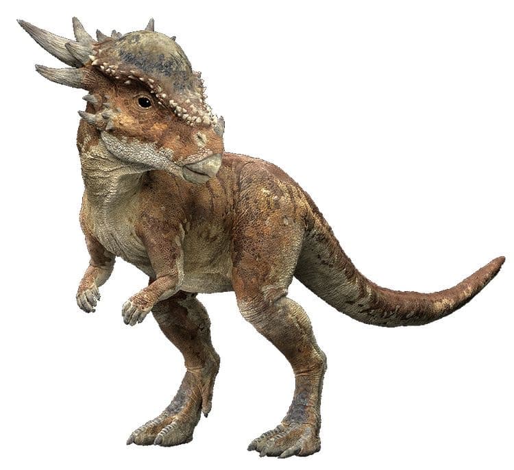 Rubrica sui dinosauri, Stygimoloch 