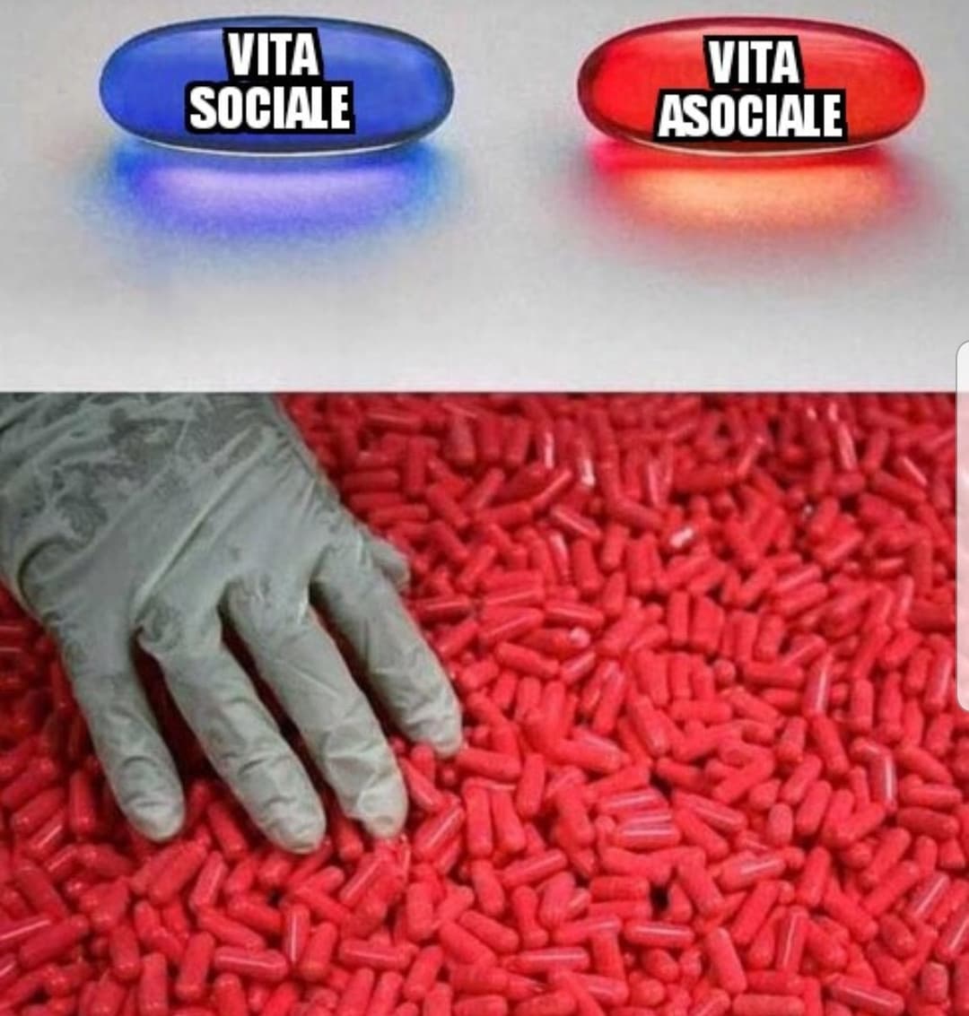 Insegreto mi fa diventare così 