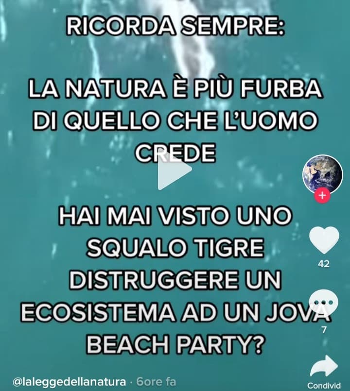 Frasi del genere le ho sentite anche da molti utenti qui. E sono stupide. Uno squalo non fa qualcosa del genere, non per furbizia, ma perchè, anche se volesse, non è abbastanza intelligente per farlo.