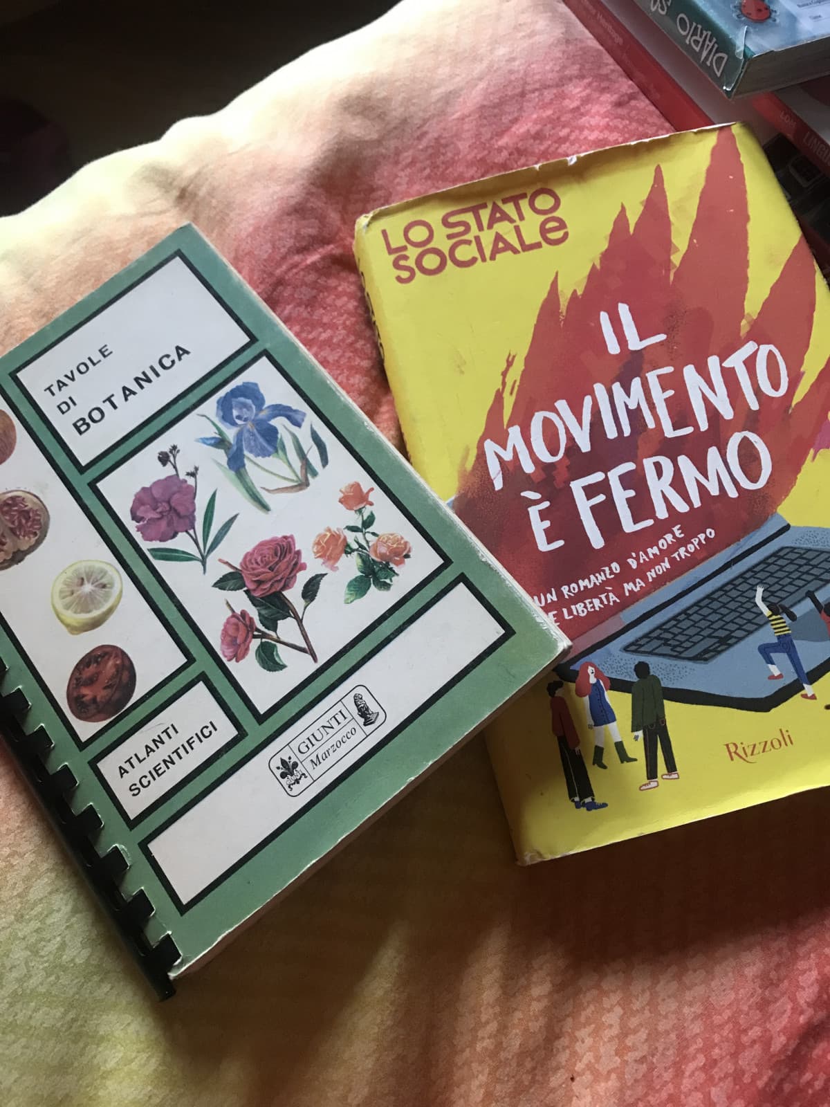 Alla fatidica cifra di euro 2.50 ho comprato questi due libri. Ecco perché amo il mercatino uhu 