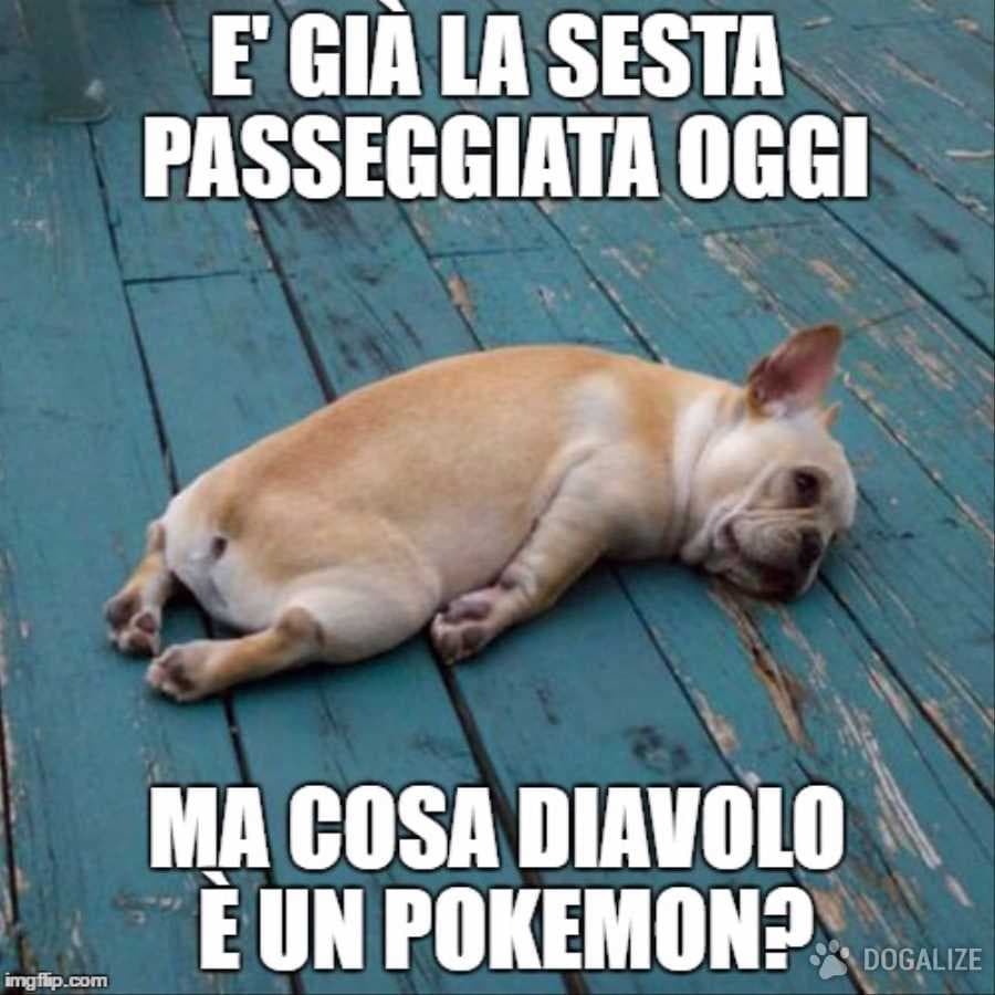 Quando pokémon GO ti faceva avere una vita sociale 