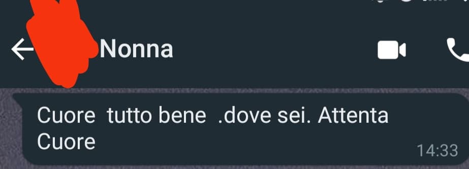 Tipiche conversazioni, tra me e mia nonna ottantenne su WhatsApp ahaha