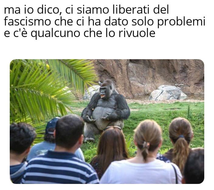 Non fa una piega. 