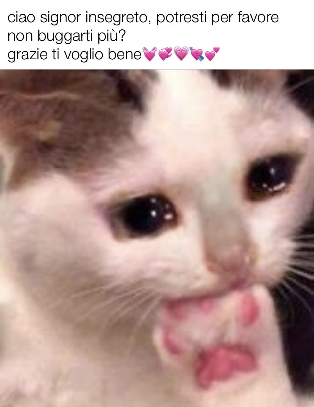 io glie l’ho chiesto con gentilezza?