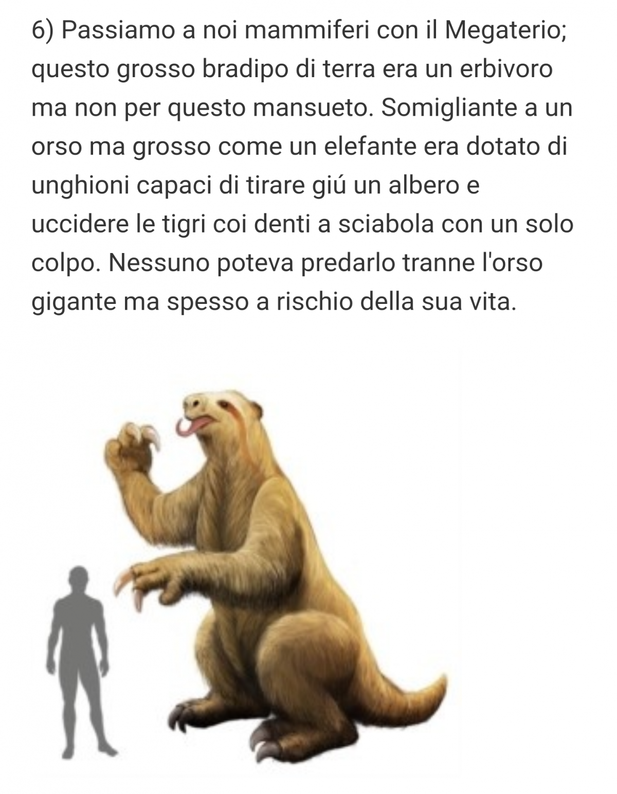 Questo sì che sembra un pokèmon