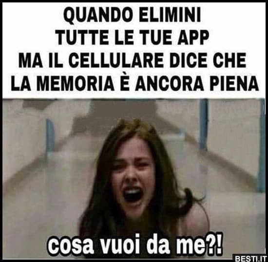 Massi dai perché non metto i meme trash del 2009 eddai #suconlavita 