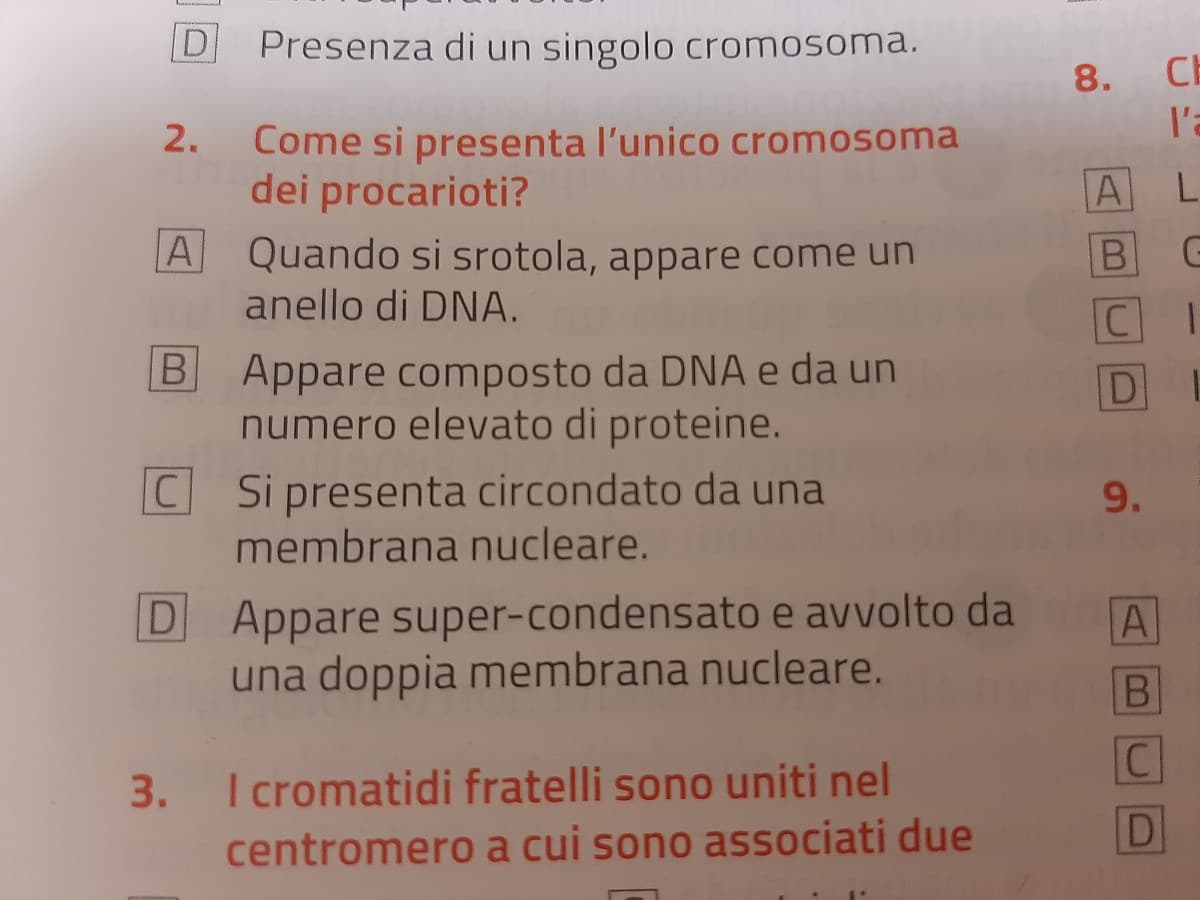 Secondo voi qual è la risposta corretta?