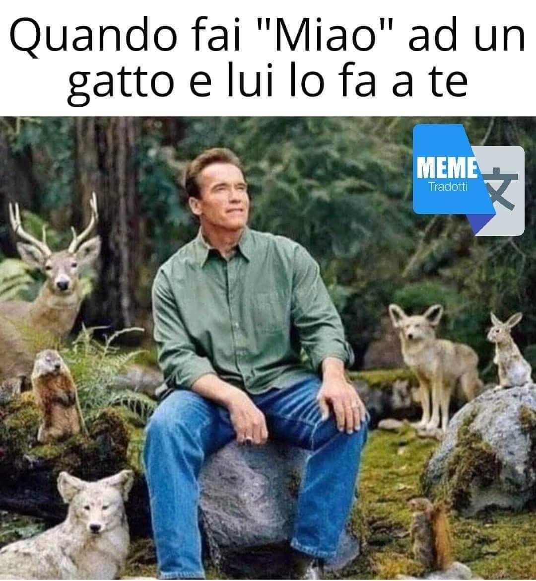 L'uomo che sussurra ai lupi