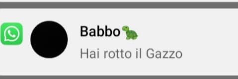 Mio padre e mio fratello mi hanno mandato questo messaggio e si sentono ridere dall'altra stanza