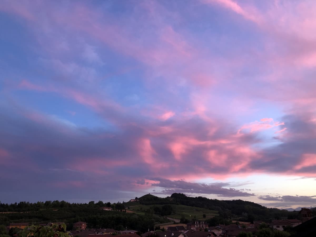 Da oggi posso dichiararmi una proprietaria terriera 