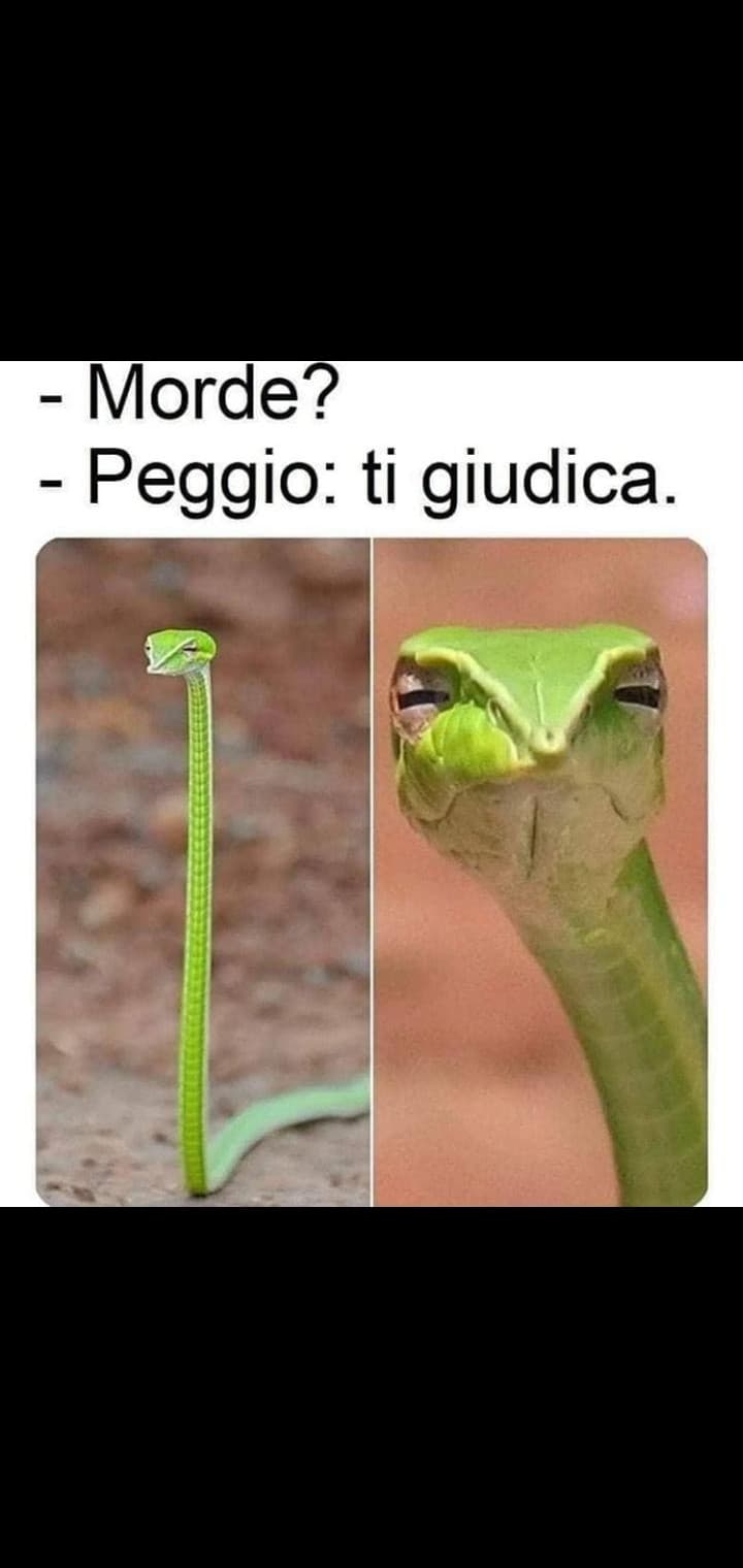 Giusto