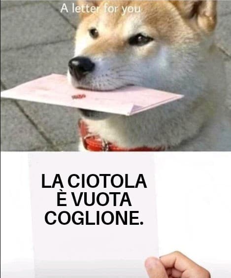 Ah i cani