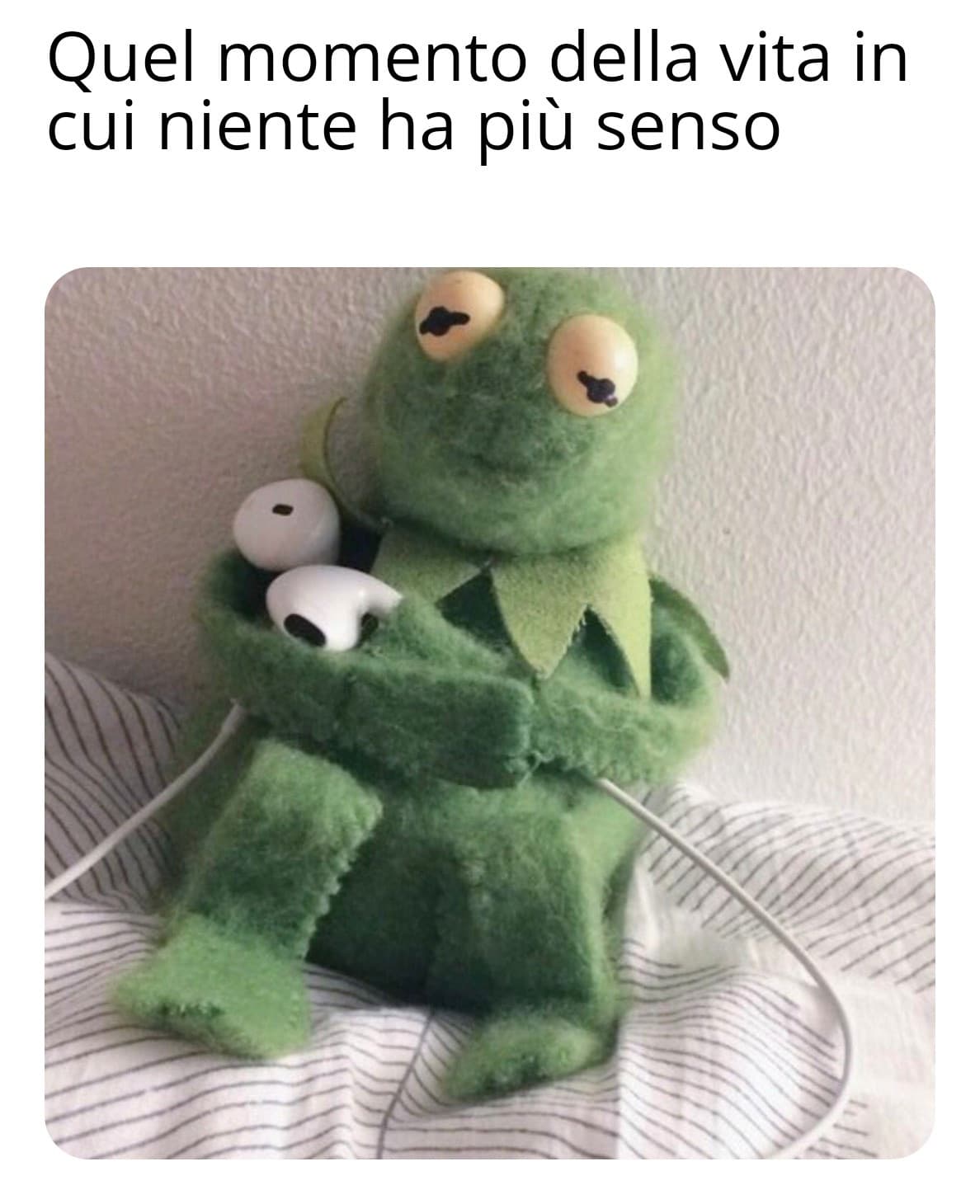 Sclero sclero male 