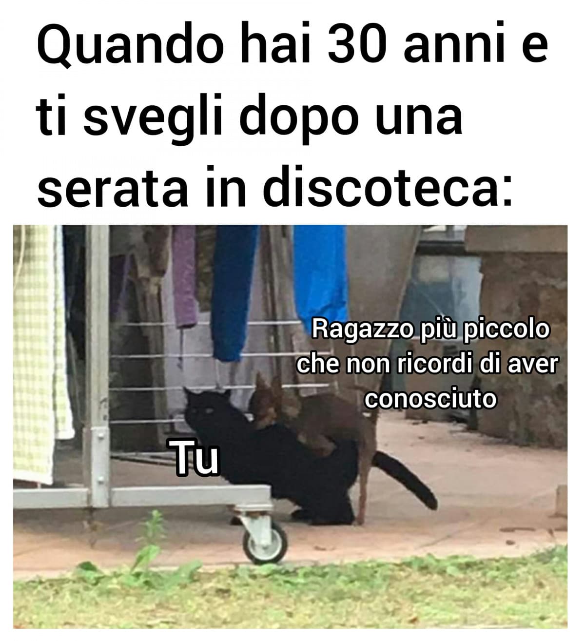 Ho visto sta foto e ho voluto farci un meme