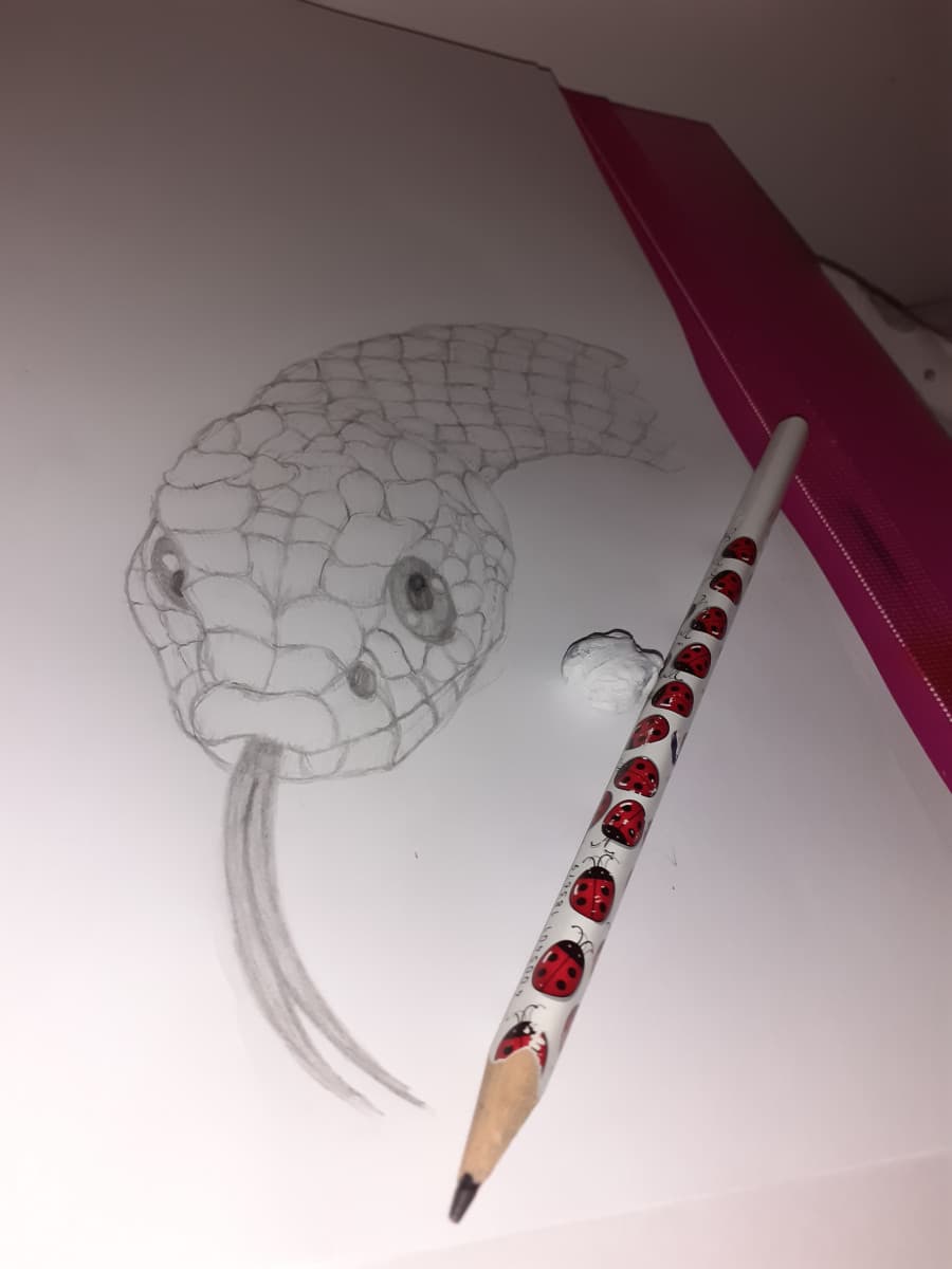 Quando provi a disegnare un serpente decentemente, ma ti dicono che tanto è una stupidata disegnarne uno visto che basta fare due linee e un cerchio.