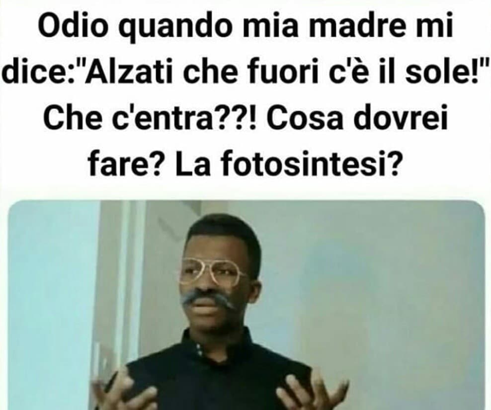 Vita sociale level pianta