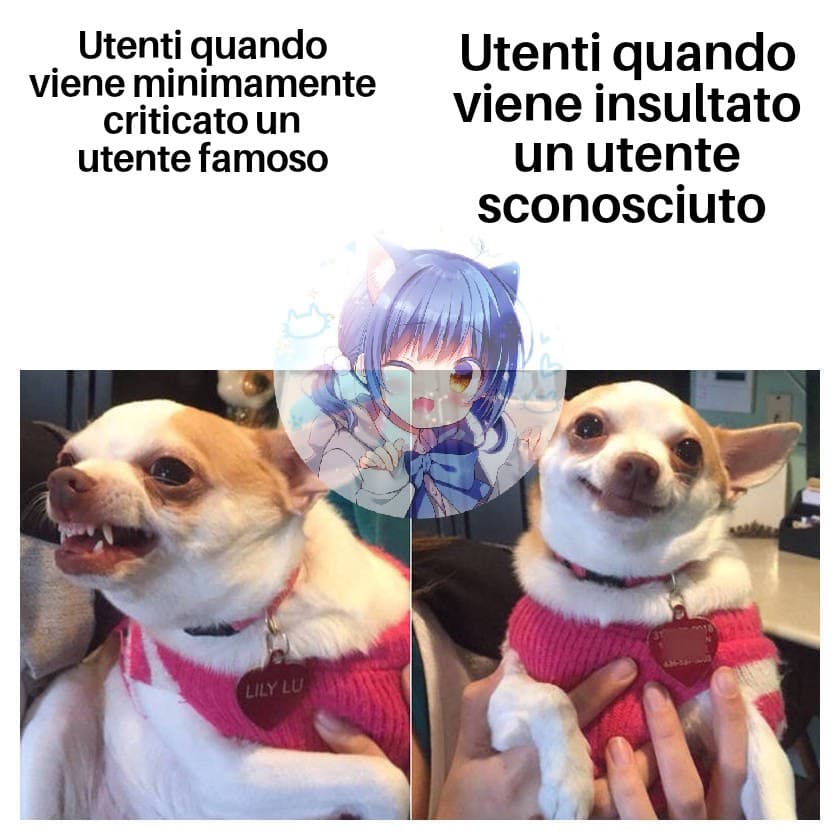 RIFERIMENTI PURAMENTE CASUALI OOOOF