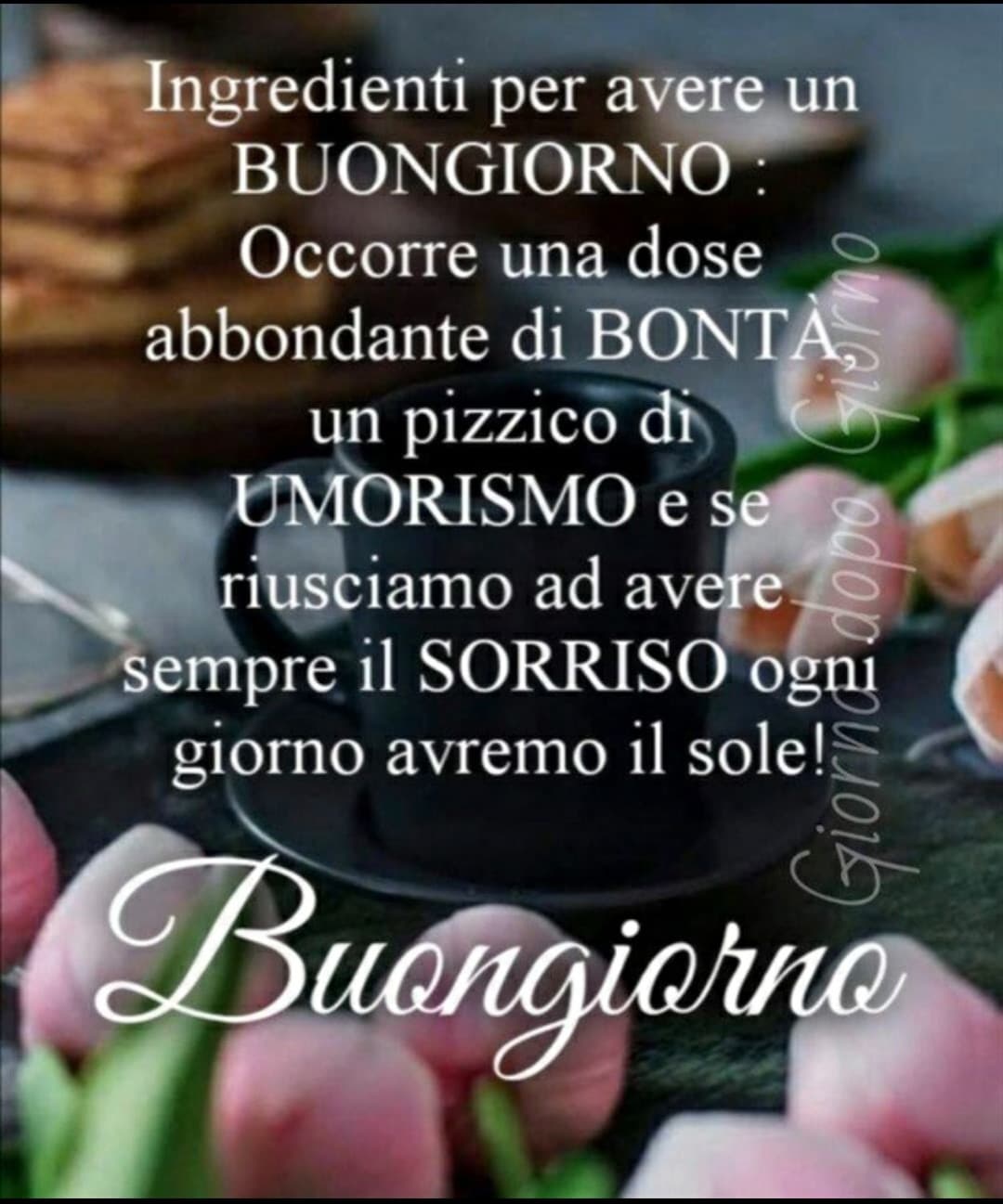 Buongiorno ?????????