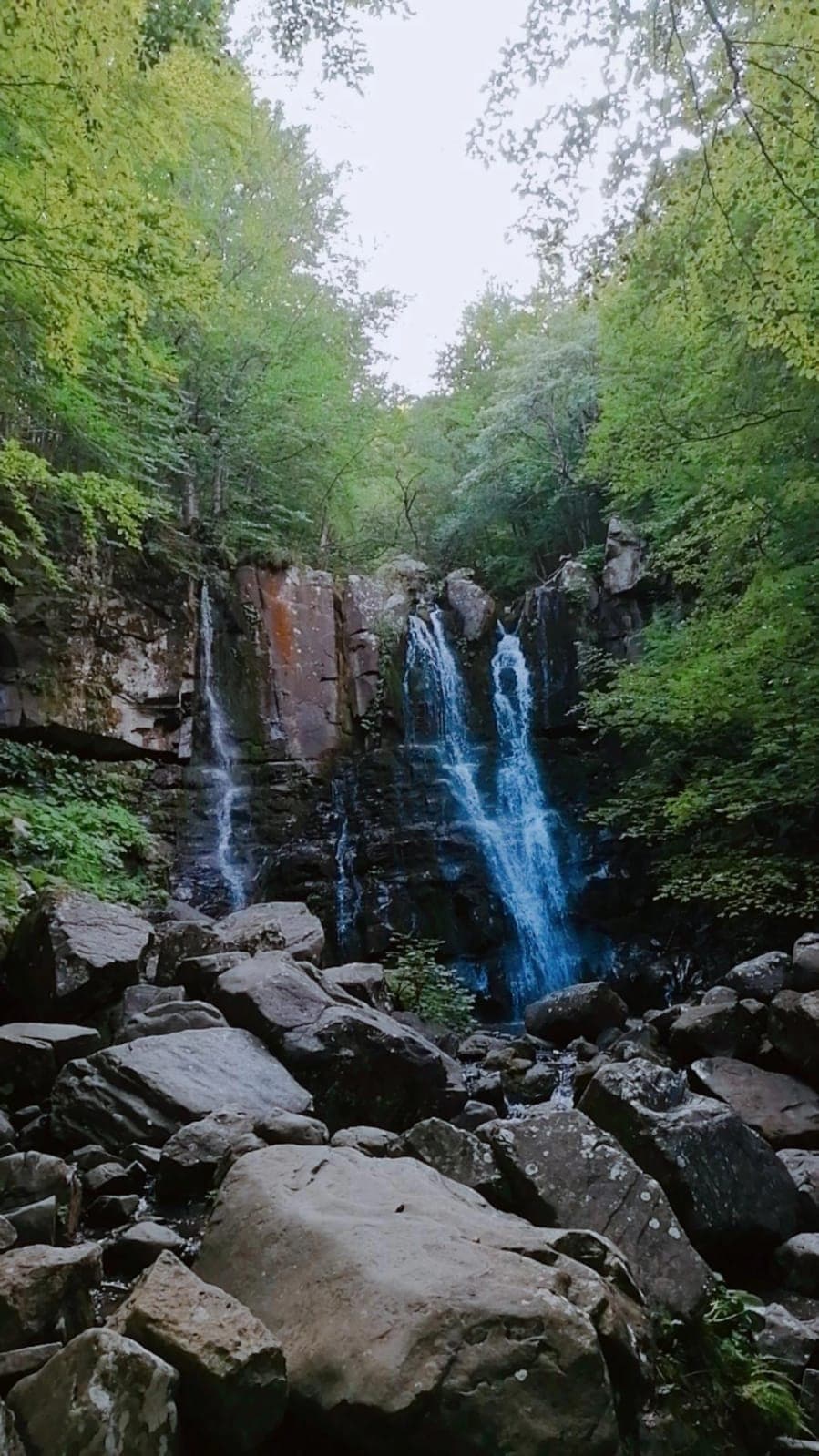 Foto fatta ieri al parco