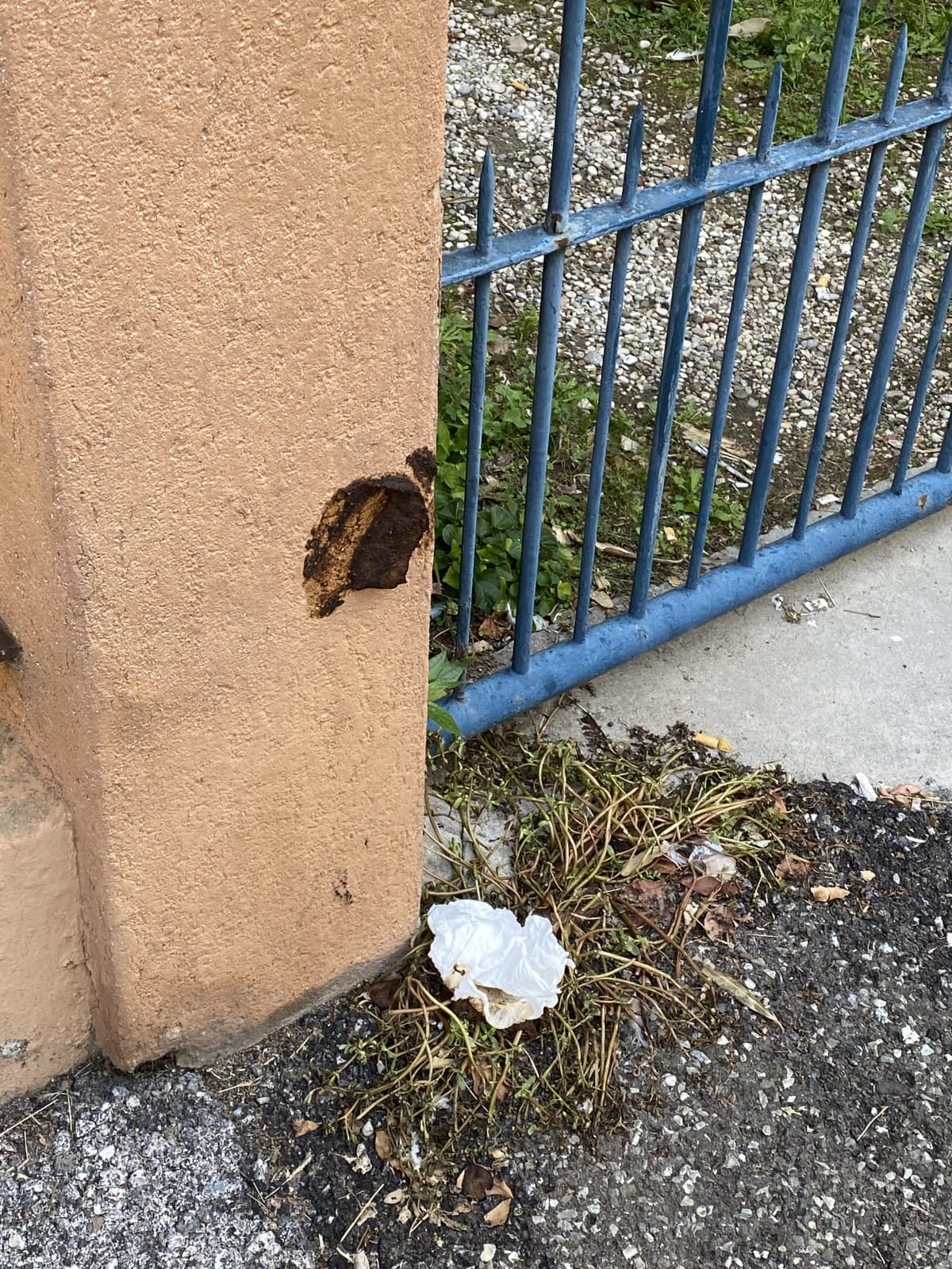 MA PERCHÉ L’HANNO SPIACCICATA NEL MURO????????????