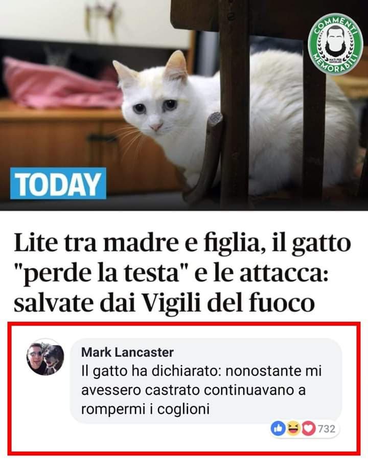 Poverino ???