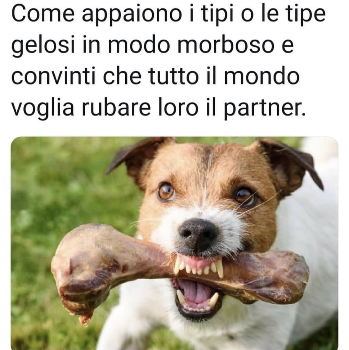 Verità