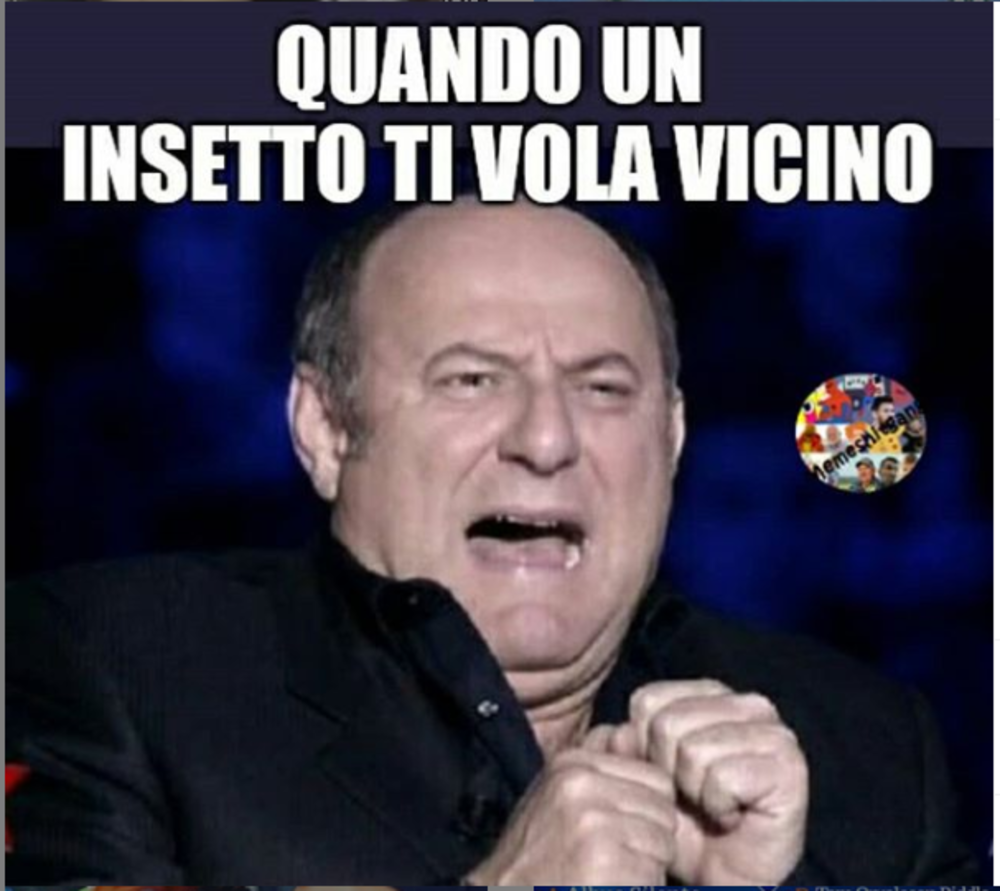 Il mio rapporto con le cimici?