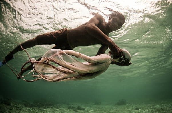 i Bajau, Il popolo che si è evoluto per vivere in acqua (andate in descrizione)