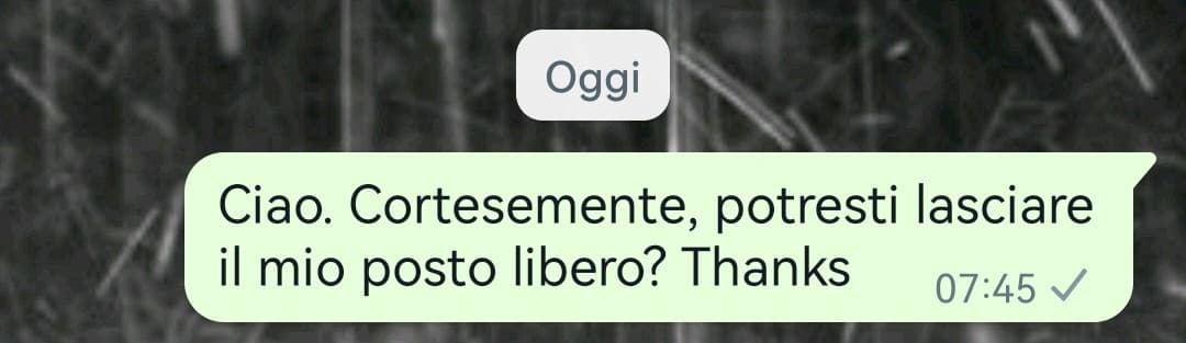 So già che non lo farà. Io la avverto... Si troverà questo identico messaggio tutti i giorni