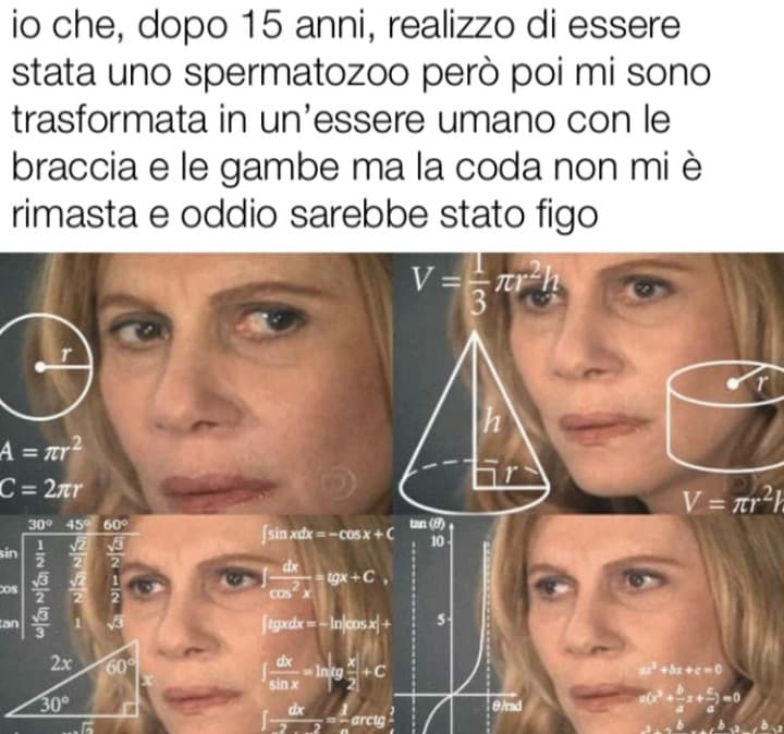 quelle virgole rovinano tutta l'iralità ??????